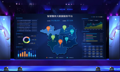 DSlong 软件开发 大数据展示与用户界面设计的融合