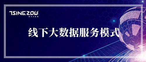 连接物理与数字世界 线下大数据服务模式的市场营销洞察