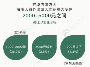 大数据揭秘 海南人端午节如何玩转假期——软件开发视角下的行为洞察